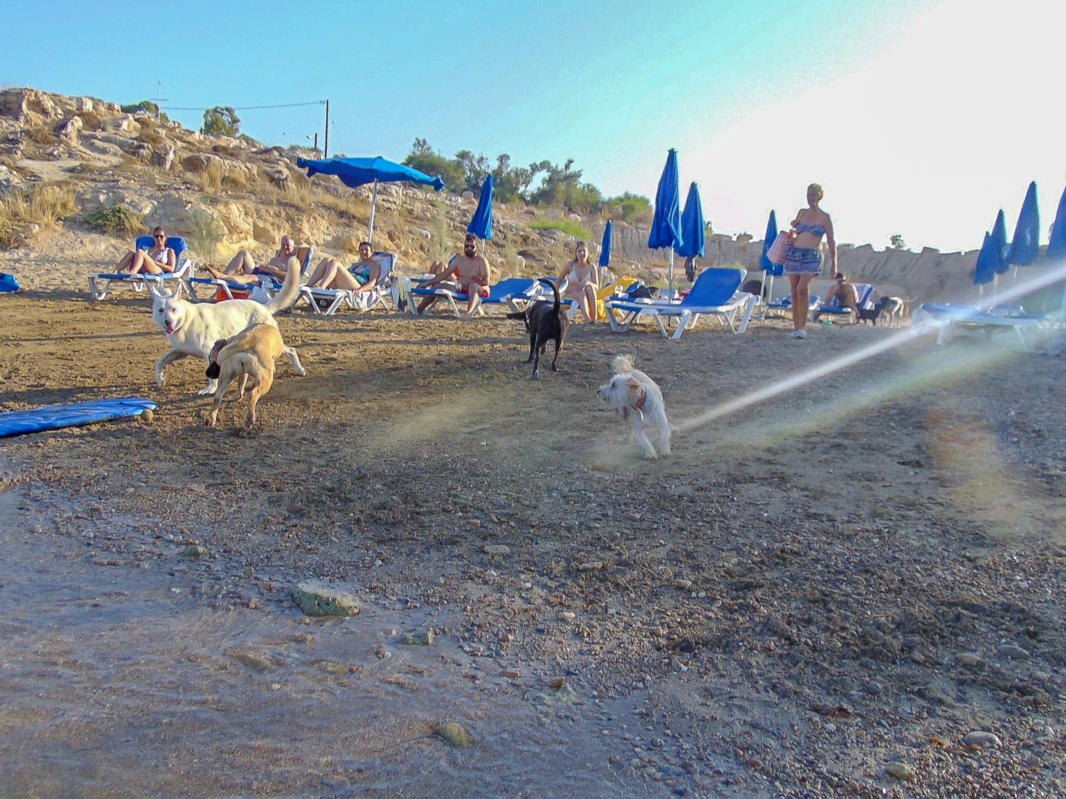 Официальный Собачий пляж Каппариса
