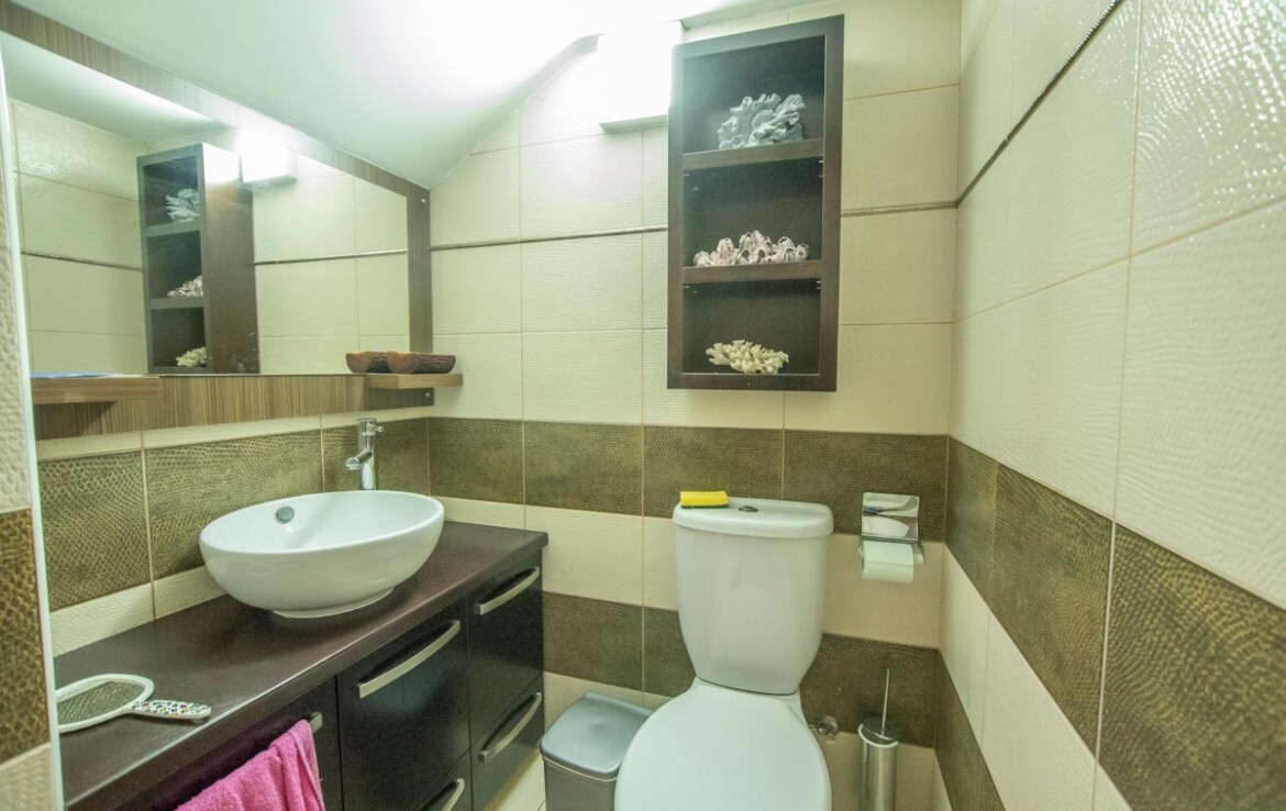 Трехспальный дом в Ливадье - гостевой туалет